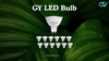 “Why GY Store LED Bulbs Shine Brightest on Amazon”