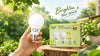 A person holds a light bulb against a vibrant green background, symbolizing ideas and innovation.