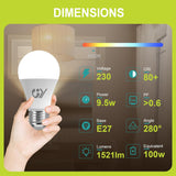 GY E27 A60 9,5 W, 1521 Lumen [Energieklasse C] 